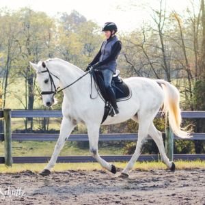 Meet your Posher, Domenique